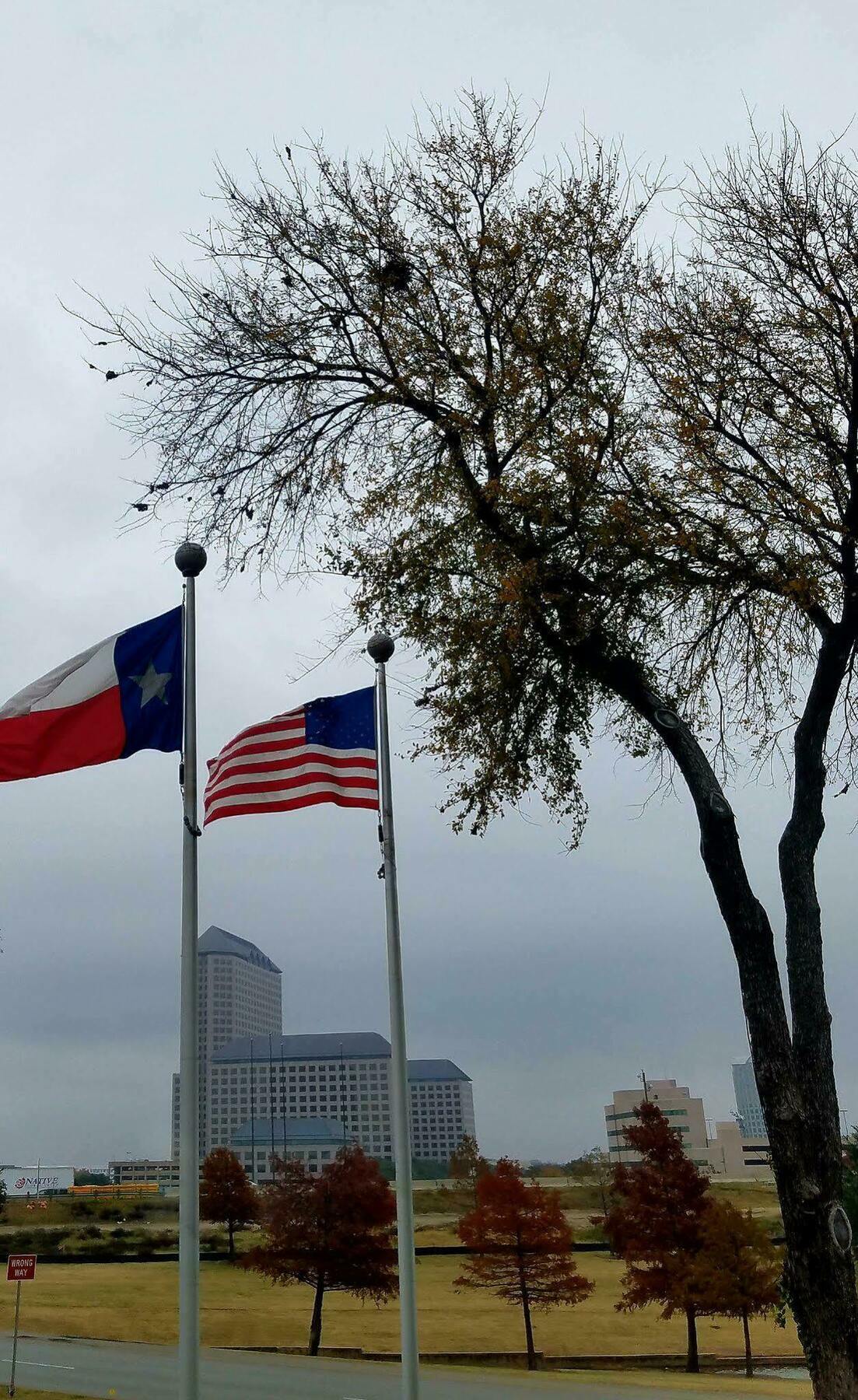 Holiday Inn Irving Las Colinas By Ihg Esterno foto